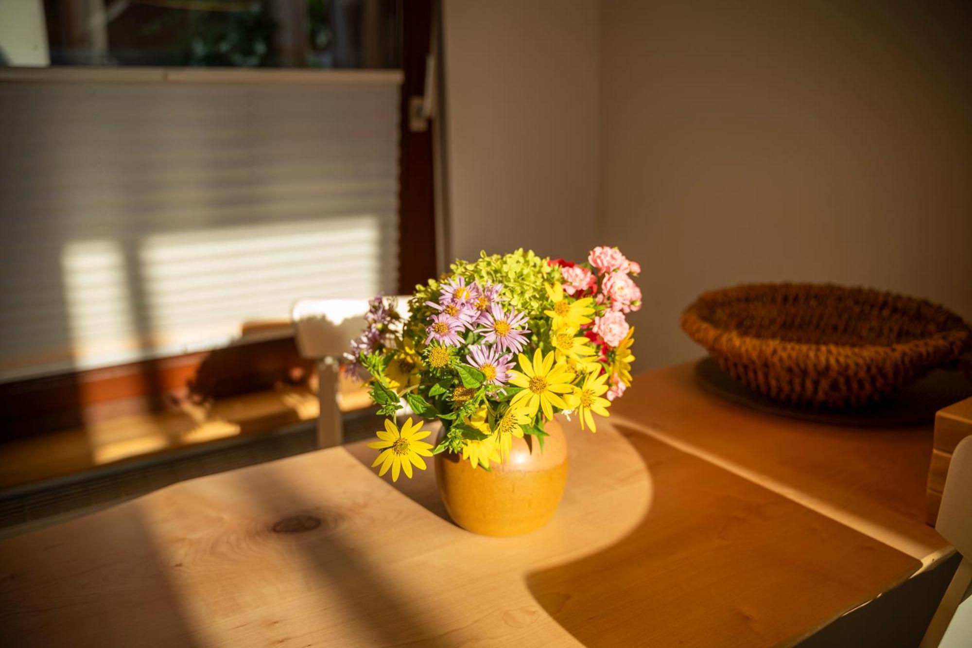 Haus Unterm Mammutbaum - Elberadweg Daire Magdeburg Dış mekan fotoğraf